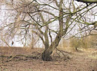 01_HK216_Titel.indd An diesem Wanderweg erfror Albert B.