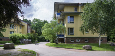 Im Hintergund: Eine gelbe Wohnunterkunft, vorne: Eine Weg und Bäume mit grünen Blättern.