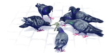 Schlüsselerlebnis: Bald wohnen die Vögel im Taubenschag. Illustration: Stefan Bachmann