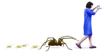 Einfangen, rausbringen, einfangen, rausbringen – Nele Gerber ist in einer Dauerspirale mit ihren ungebetenen Mitbewohnenden gefangen. Illustration: Stefan Bachmann