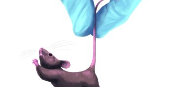 Illustration einer Maus, die von einer Hand im Handschuh am Schwanz in die Luft gehoben wird