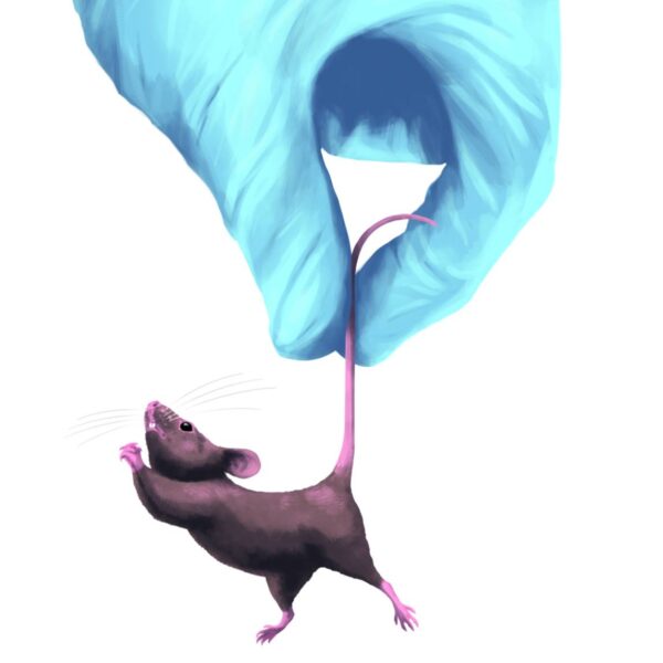 Illustration einer Maus, die von einer Hand im Handschuh am Schwanz in die Luft gehoben wird