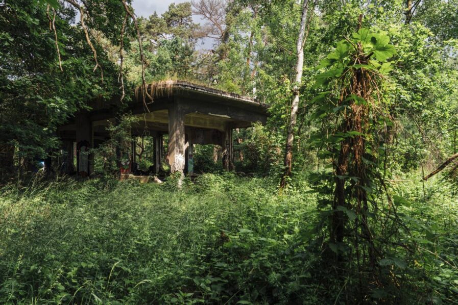 Die Ruinen in den Besenhorster Sandbergen. Foto: Miguel Ferraz