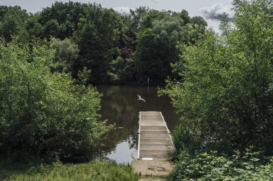 Der Helmuth-Schack-See am Bornpark in Osdorf. Foto: Miguel Ferraz