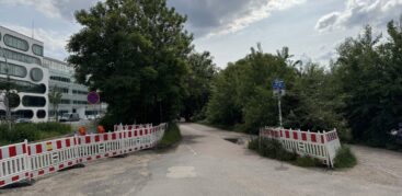 Ein Weg entlang der Alster