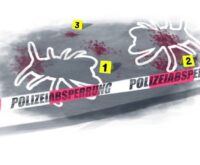 Tatort Insektenhotel: Die Gehörnte Mauerbiene lebt gefährlich. Illustration: Stefan Bachmann