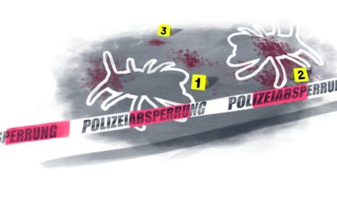 Tatort Insektenhotel: Die Gehörnte Mauerbiene lebt gefährlich. Illustration: Stefan Bachmann