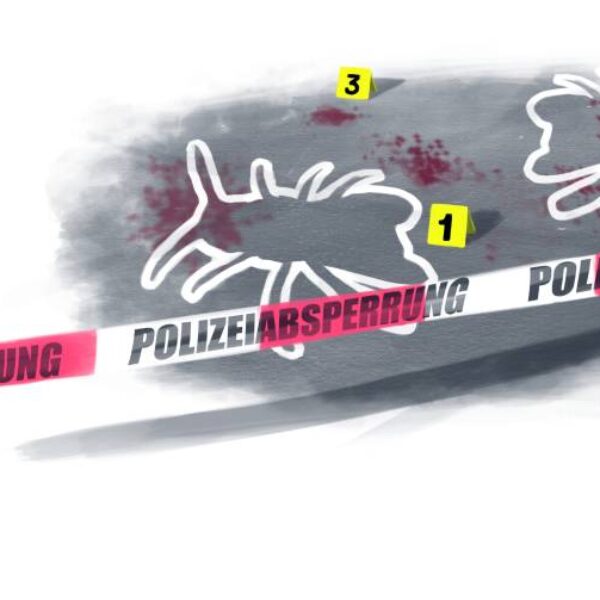 Tatort Insektenhotel: Die Gehörnte Mauerbiene lebt gefährlich. Illustration: Stefan Bachmann