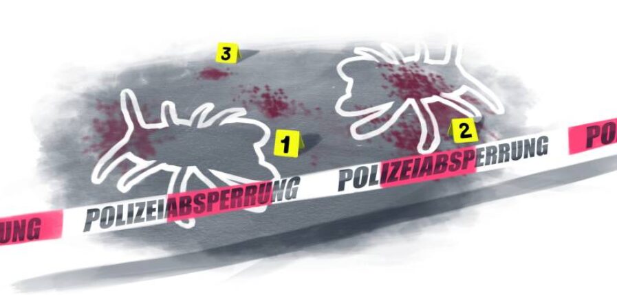 Tatort Insektenhotel: Die Gehörnte Mauerbiene lebt gefährlich. Illustration: Stefan Bachmann