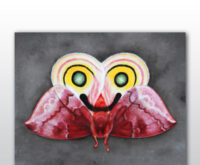 Im Mittelpunkt des Bildes steht ein großes, symmetrisches Insekt, das in seiner Form an eine Motte oder einen Schmetterling erinnert. Die Farbpalette ist lebhaft und kontrastreich. Die oberen Flügel sind hauptsächlich in Gelb- und Rottönen gehalten, mit prominenten, runden Mustern, die an Augen erinnern und grüne Pupillen haben. Die unteren Flügel sind in verschiedenen Rottönen gehalten, von hellem Rosa bis zu tiefem Weinrot. Der Körper des Insekts ist ebenfalls rot mit schwarzen Akzenten. Die "Augen" auf den oberen Flügeln sind von konzentrischen Ringen in Gelb, Orange und Rosa umgeben. Der Körper des Insekts ist schlank und rot, mit angedeuteten Beinen und Fühlern. Die Flügel zeigen feine Muster und Adern. Der Hintergrund ist schlicht und einfarbig grau, wodurch das farbenfrohe Insekt stark hervorsticht. Die Darstellung ist stilisiert und nicht fotorealistisch, mit klaren Linien und einer fast grafischen Qualität. Die Symmetrie des Insekts ist sehr ausgeprägt.
