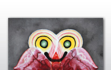 Im Mittelpunkt des Bildes steht ein großes, symmetrisches Insekt, das in seiner Form an eine Motte oder einen Schmetterling erinnert. Die Farbpalette ist lebhaft und kontrastreich. Die oberen Flügel sind hauptsächlich in Gelb- und Rottönen gehalten, mit prominenten, runden Mustern, die an Augen erinnern und grüne Pupillen haben. Die unteren Flügel sind in verschiedenen Rottönen gehalten, von hellem Rosa bis zu tiefem Weinrot. Der Körper des Insekts ist ebenfalls rot mit schwarzen Akzenten. Die "Augen" auf den oberen Flügeln sind von konzentrischen Ringen in Gelb, Orange und Rosa umgeben. Der Körper des Insekts ist schlank und rot, mit angedeuteten Beinen und Fühlern. Die Flügel zeigen feine Muster und Adern. Der Hintergrund ist schlicht und einfarbig grau, wodurch das farbenfrohe Insekt stark hervorsticht. Die Darstellung ist stilisiert und nicht fotorealistisch, mit klaren Linien und einer fast grafischen Qualität. Die Symmetrie des Insekts ist sehr ausgeprägt.