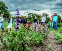 Eine Menschengruppe steht auf einem Feld, im Vordergrund wächst Salbei