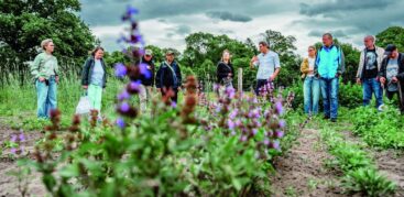 Eine Menschengruppe steht auf einem Feld, im Vordergrund wächst Salbei