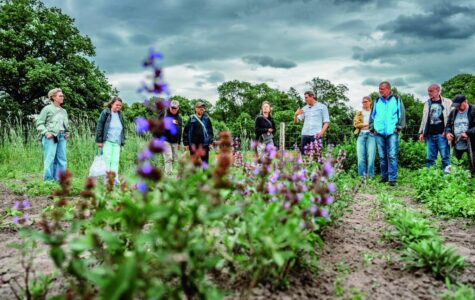 Eine Menschengruppe steht auf einem Feld, im Vordergrund wächst Salbei