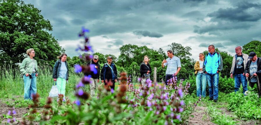 Eine Menschengruppe steht auf einem Feld, im Vordergrund wächst Salbei