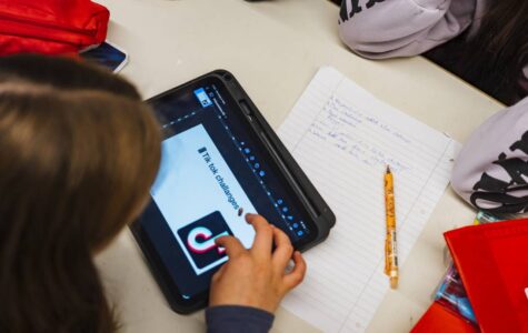 Social Media gehört in den Unterricht, findet Chatbot „Tiktok-Thorben“. Foto: Miguel Ferraz