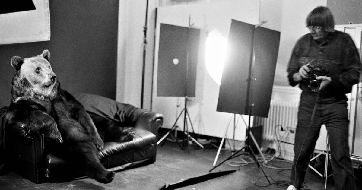 Ein Braunbär sitzt auf einem Sofa, daneben eine Lampe und ein Mann mit Kamera