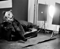 Ein Braunbär sitzt auf einem Sofa, daneben eine Lampe und ein Mann mit Kamera