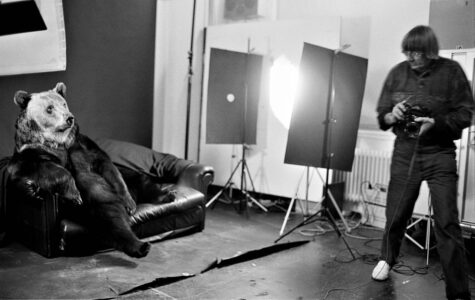 Ein Braunbär sitzt auf einem Sofa, daneben eine Lampe und ein Mann mit Kamera