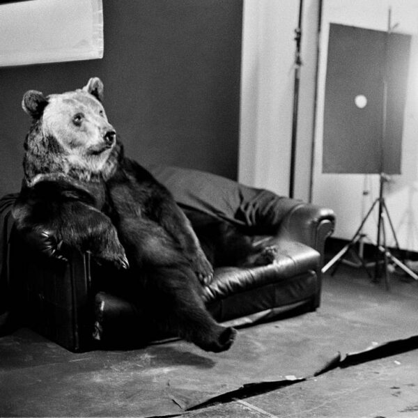 Ein Braunbär sitzt auf einem Sofa, daneben eine Lampe und ein Mann mit Kamera