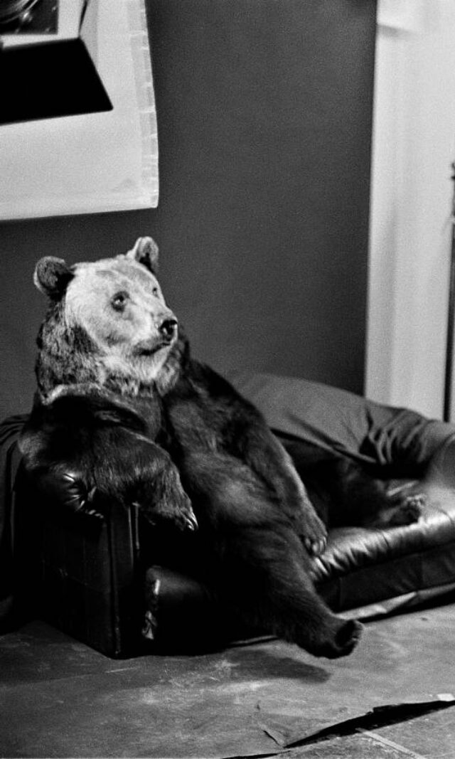 Ein Braunbär sitzt auf einem Sofa, daneben eine Lampe und ein Mann mit Kamera