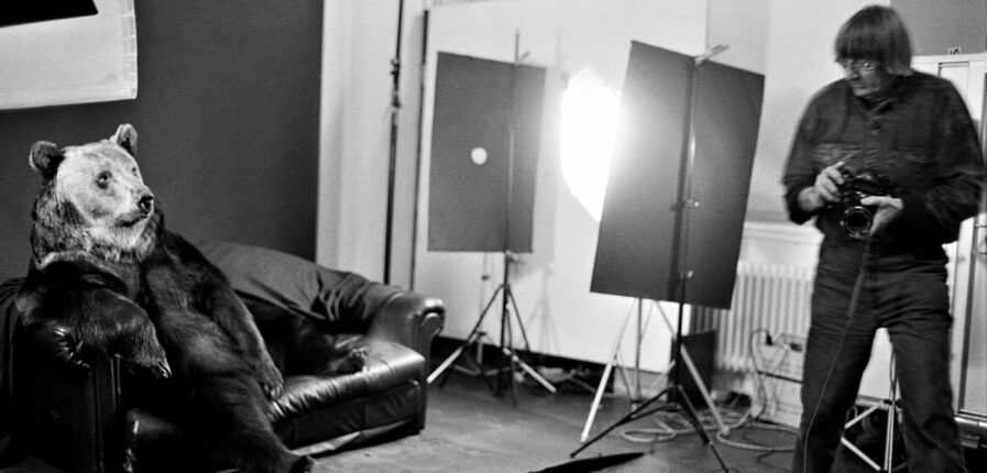 Ein Braunbär sitzt auf einem Sofa, daneben eine Lampe und ein Mann mit Kamera