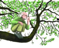 Illustration von einem glatzköpfigen Mann, der in einem Baum sitzt und etwas ruft