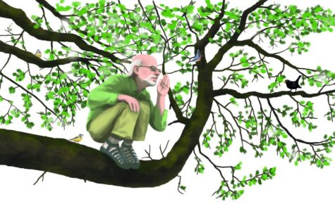 Illustration von einem glatzköpfigen Mann, der in einem Baum sitzt und etwas ruft