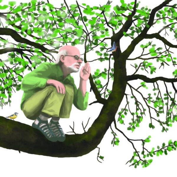 Illustration von einem glatzköpfigen Mann, der in einem Baum sitzt und etwas ruft