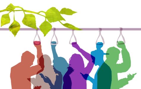 Illustration: Julia Pfaller