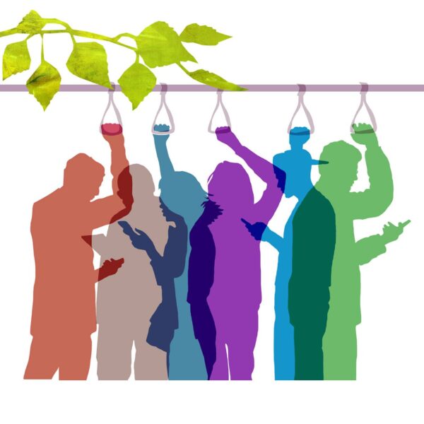 Illustration: Julia Pfaller