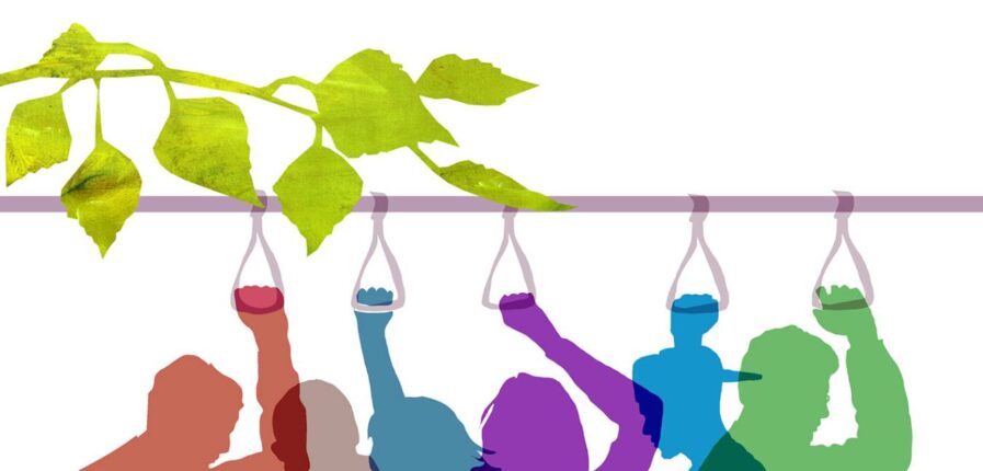 Illustration: Julia Pfaller