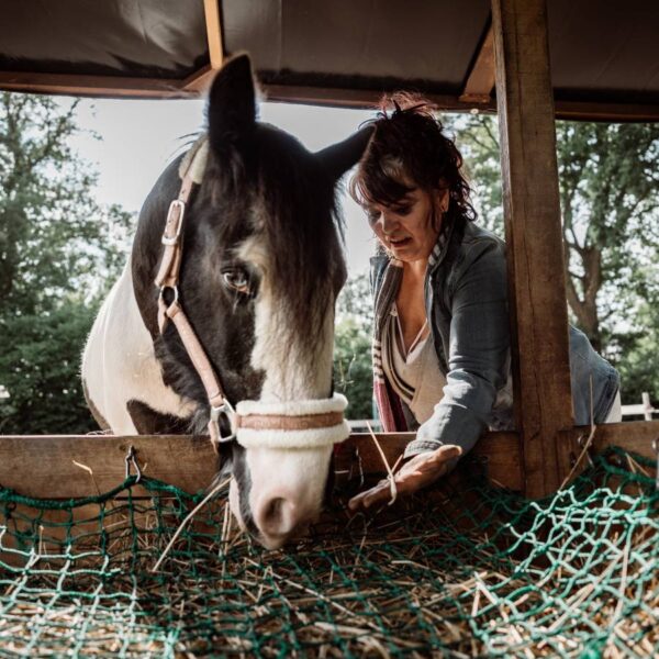 Stille Interaktion: Anna-Maria und Penny an der Futterraufe. Foto: Dmitrij Leltschuk