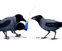 Ein echter Leckerbissen? Krähen beim Müllsammeln – und Inhalieren. Illustration: Stefan Bachmann