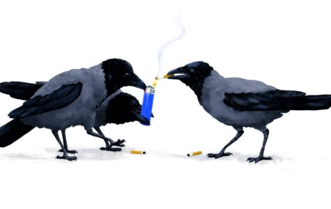Ein echter Leckerbissen? Krähen beim Müllsammeln – und Inhalieren. Illustration: Stefan Bachmann